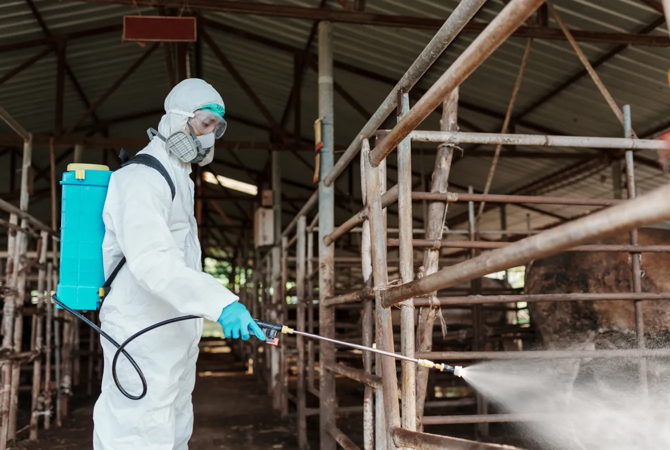 Magazzino industriale durante intervento di disinfestazione impianti industriali 